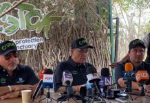 Alrededor de 700 animales silvestres emprenderán el éxodo más grande de la historia