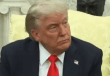 Musk vs Trump: «Sin mí, Trump habría perdido las elecciones», acusa Elon Musk