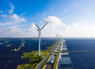 Sostenibilidad empresarial y el futuro que ya nos alcanzó energia renovable