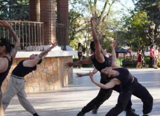 Lux Boreal celebra el 18 aniversario del CEART Ensenada con la presentación de Migrar como Monarca