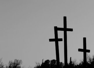 ¿Hay menos muertos? muertos