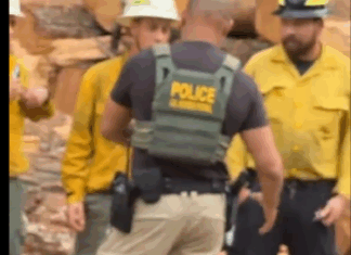 Reportan dos bomberos arrestados por la Patrulla Fronteriza durante incendio forestal en Washington ICE