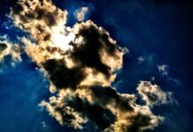 La miasma del poder miasma