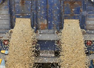 Incertidumbre regulatoria y política limita confianza empresarial en México tmec