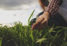 Campesinos demandan mejorar presupuesto al campo en el PEF 2026 campo