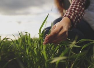 Campesinos demandan mejorar presupuesto al campo en el PEF 2026 campo