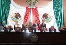 ASF detectó irregularidades por más de 5 mil mdp en Cuenta Pública 2024 camara de diputados, David Colmenares Páramo, auditor Superior de la Federación