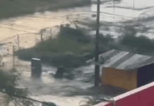 ¿Quién responde ante las emergencias en México? Polémica y Café. Episodio 131. Octubre 15, 2025