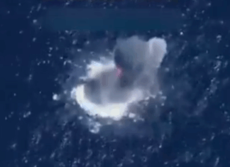 México confirmó el rescate de un sobreviviente en ataque de EE.UU. a cuatro embarcaciones ataque barcos México