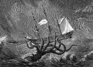 El Kraken y sus tentáculos: Estados Unidos y la dinámica de conflictos globales en 2025 Kraken