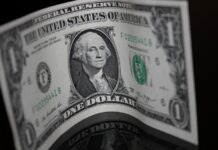 Un año Trumpicado para México