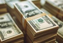 Deuda pública se duplicó en siete años y cada mexicano tendría que aportar 8,022 dólares para cubrirla: IMEF dolares