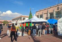 En el caso Tecámac debe intervenir la gobernadora, conmina la presidenta Claudia Sheinbaum