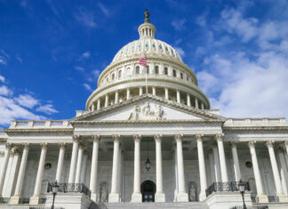 Cuadro de la destrucción del gobierno de EE.UU. en 2025 Capitolio