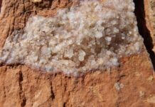 México ‘hace méritos’ con Trump: Firma acuerdo para suministro de minerales críticos minerales