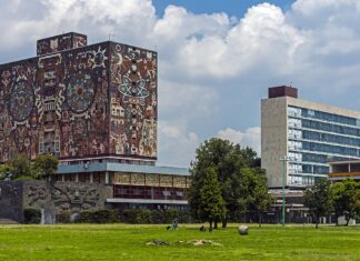 Plantean estrategia nacional de docencia e investigación