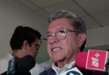 Reforma Electoral va a debate; no hay esperanza de convencer a PT y PVEM: Monreal