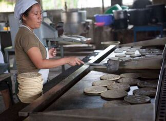 La Unión Nacional de Industriales de la Masa y la Tortilla pide a Sheinbaum reordenar la industria