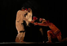 Tránsito entre lo ancestral y lo contemporáneo: Lux Boreal en la Muestra Internacional de Danza en la ciudad de Tijuana