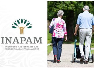 INAPAM: Los errores más comunes que te hacen perder los beneficios de tu tarjeta