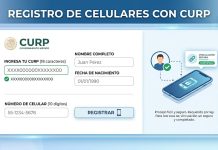 ¿Un menor de edad puede vincular su número con la CURP? Esto dice la CRT
