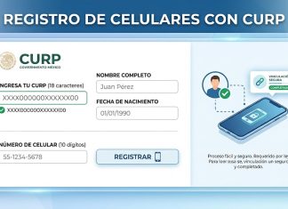 ¿Un menor de edad puede vincular su número con la CURP? Esto dice la CRT