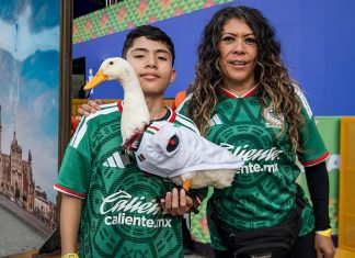 El Pato Merlín ya tiene su ‘acta de nacimiento’: la familia obtiene el registro ante el IMPI