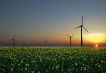 En 2030 el 38% de energía en México será renovable: anuncian estrategia sustentable para “fortalecer la soberanía nacional”