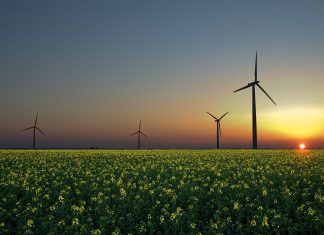 En 2030 el 38% de energía en México será renovable: anuncian estrategia sustentable para “fortalecer la soberanía nacional”