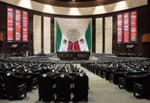 ¿Subirán de precio la cerveza, las Maruchan y el ramen? Esto dice la propuesta de los diputados para 2027