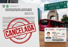 ¿El gobierno te va a quitar tu licencia de conducir? las verdaderas razones por las cuales sí te pueden suspender el documento en México