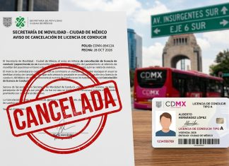 ¿El gobierno te va a quitar tu licencia de conducir? las verdaderas razones por las cuales sí te pueden suspender el documento en México