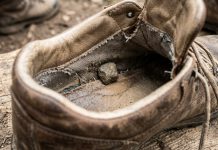 Andy López Beltrán, la piedra en el zapato de Sheinbaum