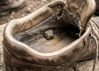 Andy López Beltrán, la piedra en el zapato de Sheinbaum
