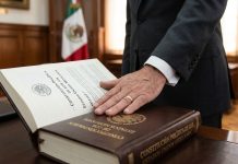 Cinismo en la política: ‘Las leyes se hicieron para violarlas’