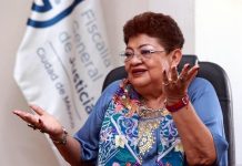 Ernestina Godoy niega que existan órdenes de aprehensión contra Andy López Beltrán y su amigo Amílcar por contratos millonarios
