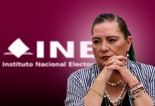 Cuenta falsa de Guadalupe Taddei en redes desata alertas de desinformación en plena polémica por contratos del INE