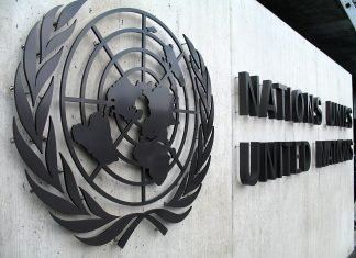 Comité de la ONU reconoce acciones de México contra la desaparición, pero advierte persistencia